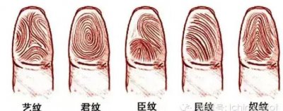 ​指纹运势十指流纹(指纹有几个斗，是富贵命！你命带了多少富贵？)