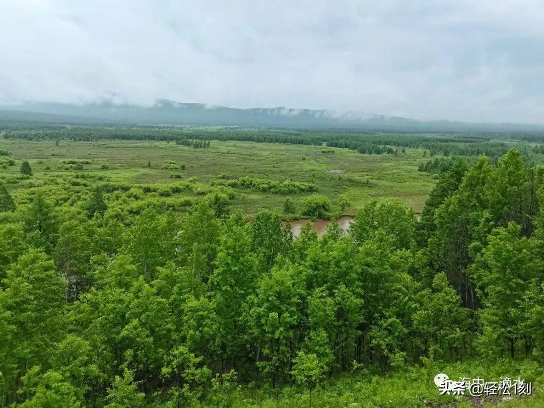 根河属于哪个省哪个市(根河市属于哪个市)