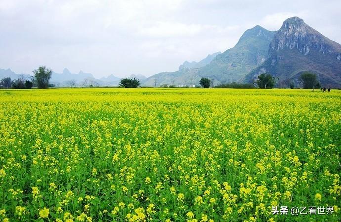 上林县属于哪个市(广西上林县属于哪个市)
