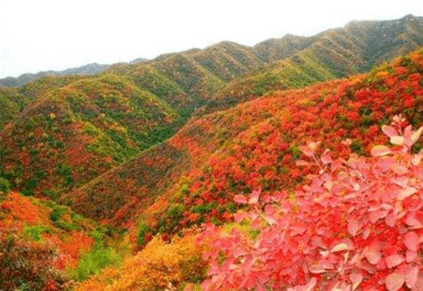吉县属于哪个市(山西吉县属于哪个市)