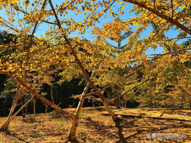 南雄市属于哪个省哪个市(南雄市属于哪个市)