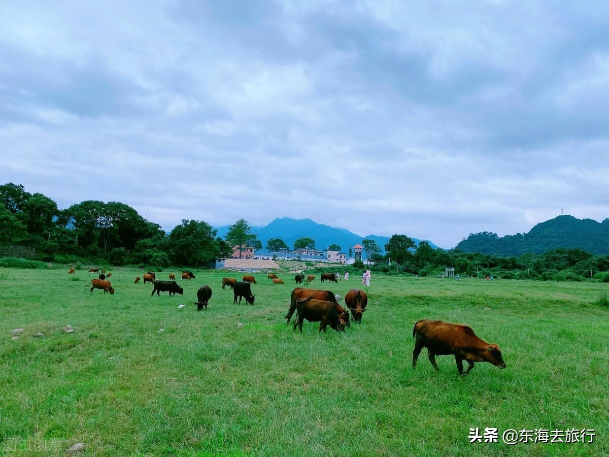 南雄市属于哪个省哪个市(南雄市属于哪个市)