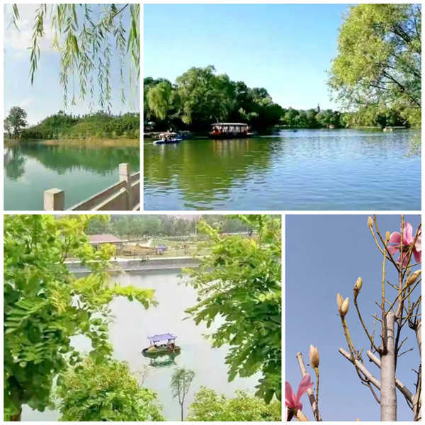 沈丘县属于哪个市(河南沈丘县属于哪个市)