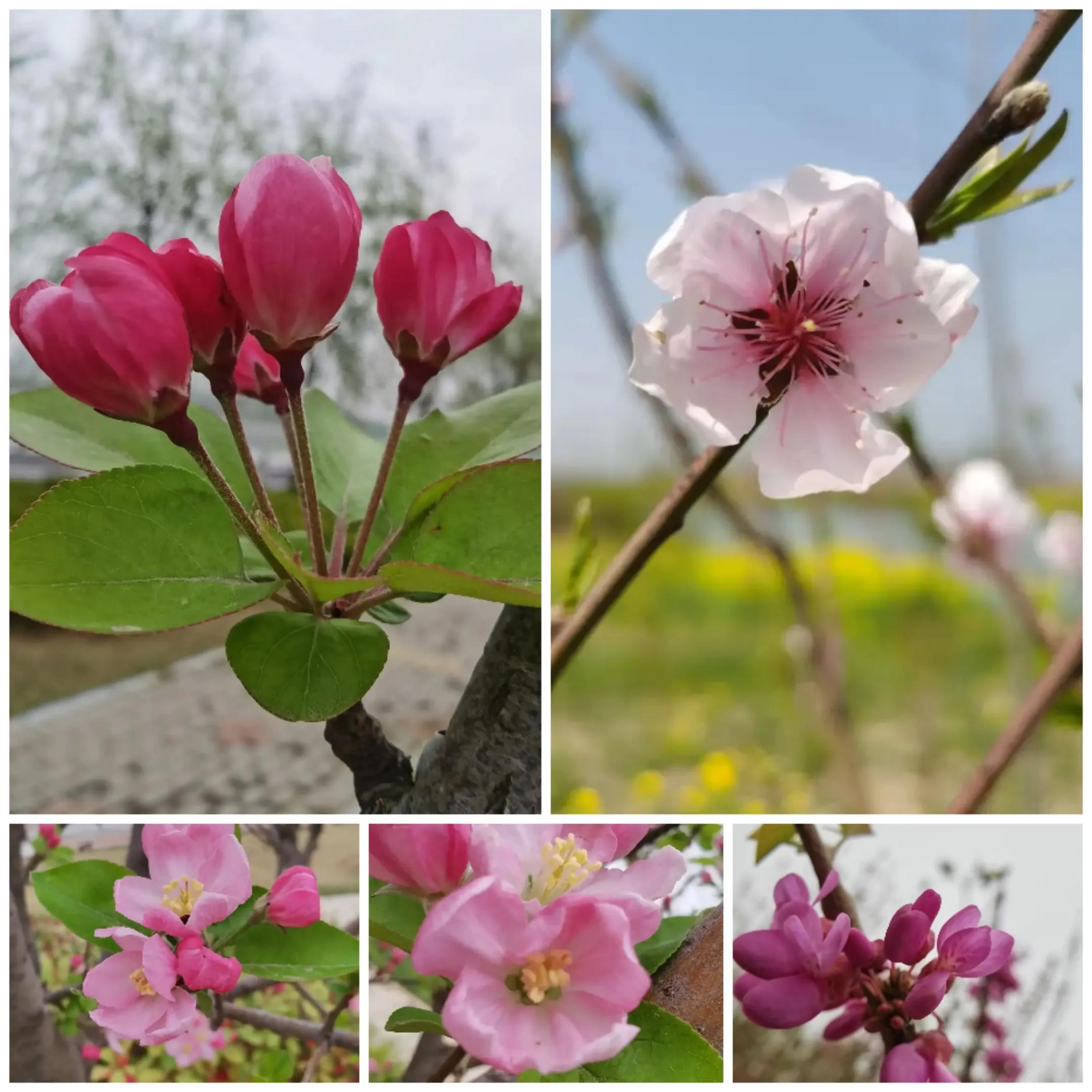 沈丘县属于哪个市(河南沈丘县属于哪个市)