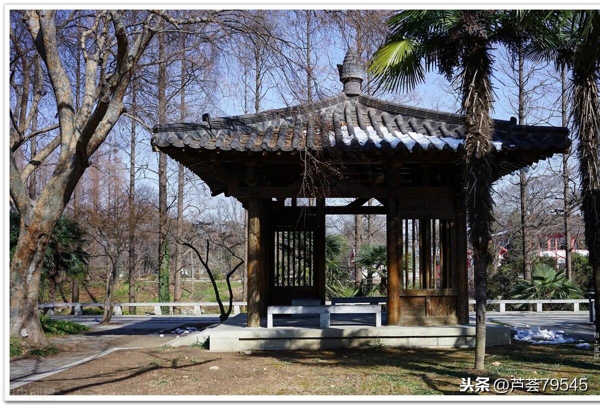 孔子云何陋之有的典故(孔子云何陋之有啥意思)
