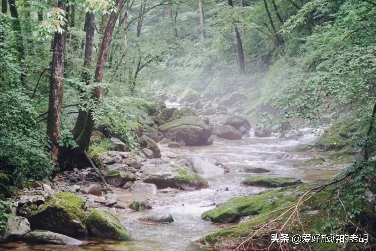 佛坪县属于哪个市(佛坪县简介)