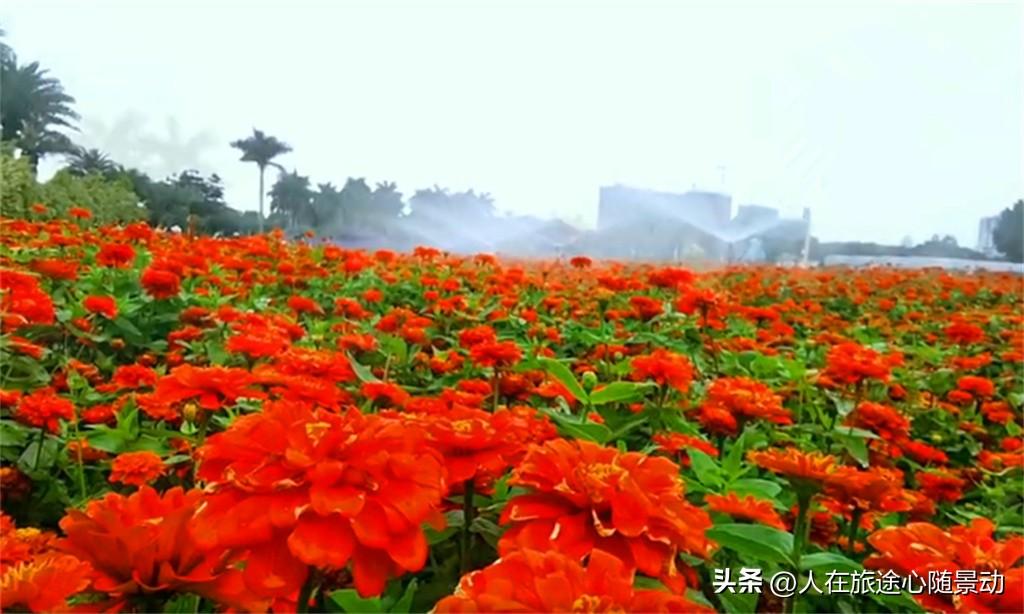 南宁西乡塘区有什么好玩的地方(西乡塘区旅游景点有哪些)