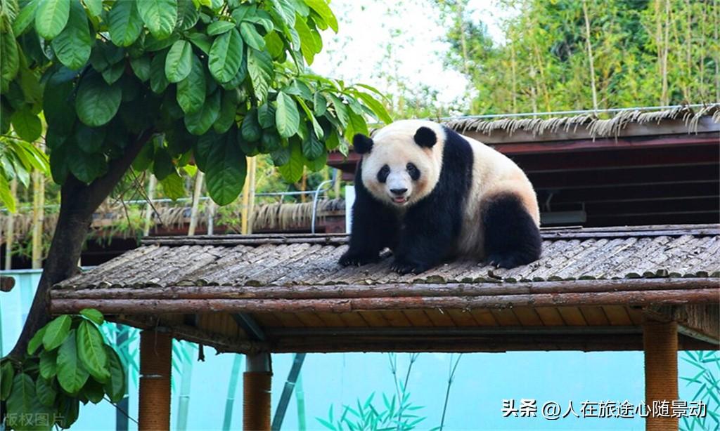 南宁西乡塘区有什么好玩的地方(西乡塘区旅游景点有哪些)
