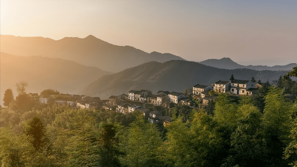 泰山和黄山哪个更高(黄山和泰山哪个值得去)