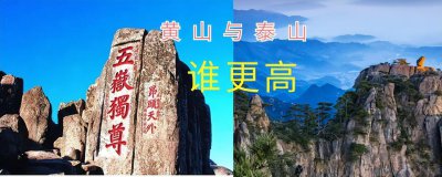 ​泰山和黄山哪个更高(黄山和泰山哪个值得去)