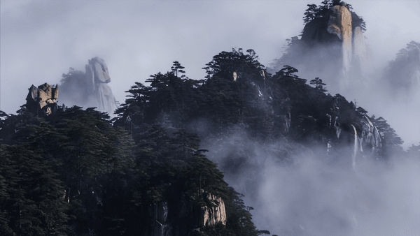 泰山和黄山哪个更高(黄山和泰山哪个值得去)
