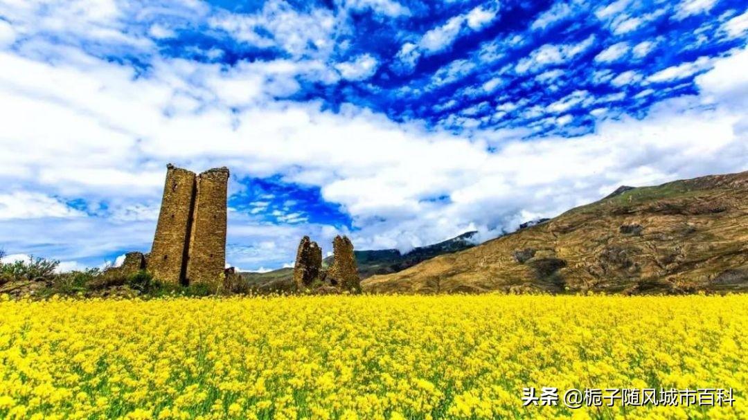 山南市有几个县(西藏山南地区有几个县)