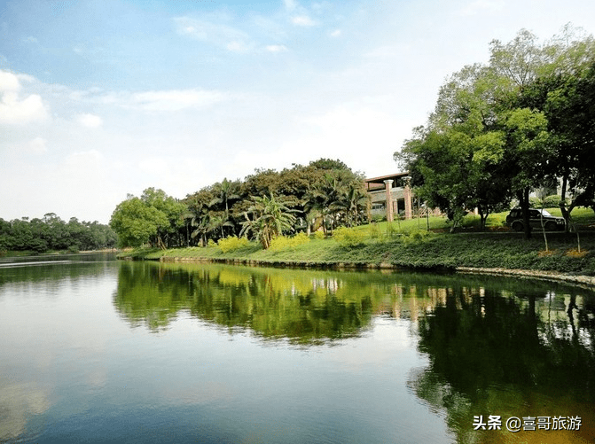 柳北区是哪个市的(柳北区有多少个乡镇)