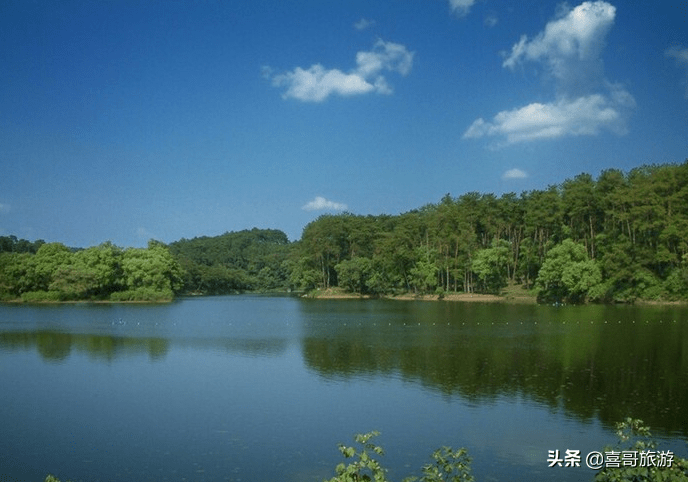 柳北区是哪个市的(柳北区有多少个乡镇)