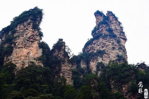 第七天：金鞭溪·天门山-杨秀人家（黄龙洞）