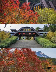 ​金寨安徽天堂寨风景区游玩攻略一日游