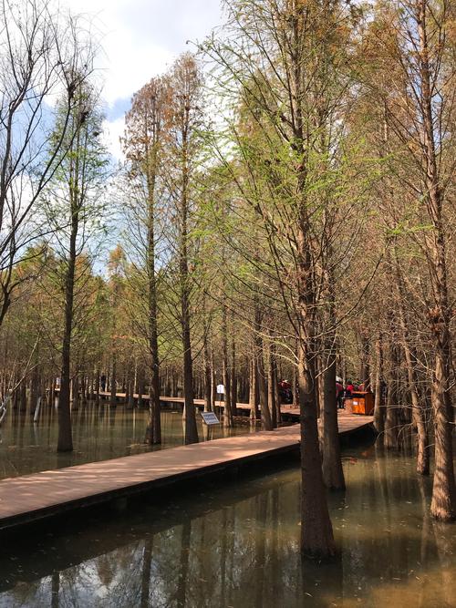 第三天：乘车去湿地公园游玩（免费）