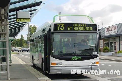 4、很多城市中都有一些公共汽车，也会有很多私家车。