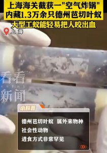 ​头皮发麻！打开一只 ＂ 空气炸锅 ＂，里面有 1.3 万只… ... 危险