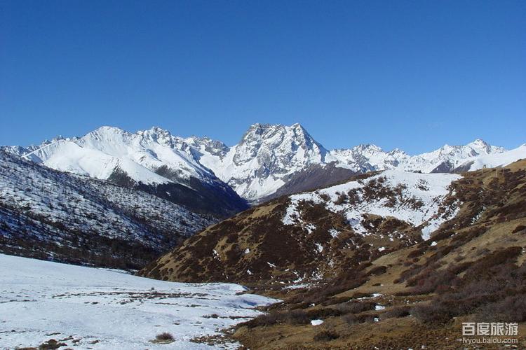 第二天：德钦县—白马雪山景区---丽江