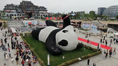 第五天：熊猫基地、都江堰景区