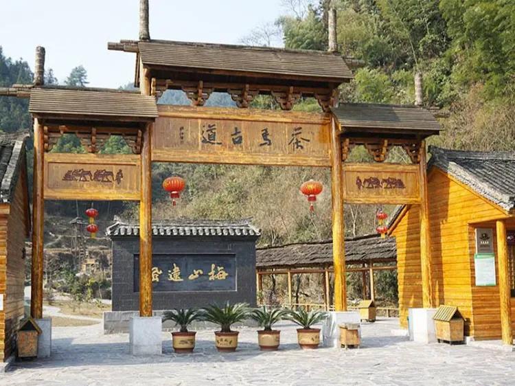 益阳一日游最好去哪里(益阳有什么好玩的地方景点推荐)