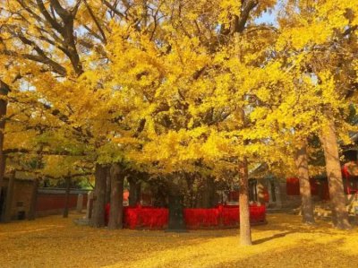 ​益阳一日游最好去哪里(益阳有什么好玩的地方景点推荐)