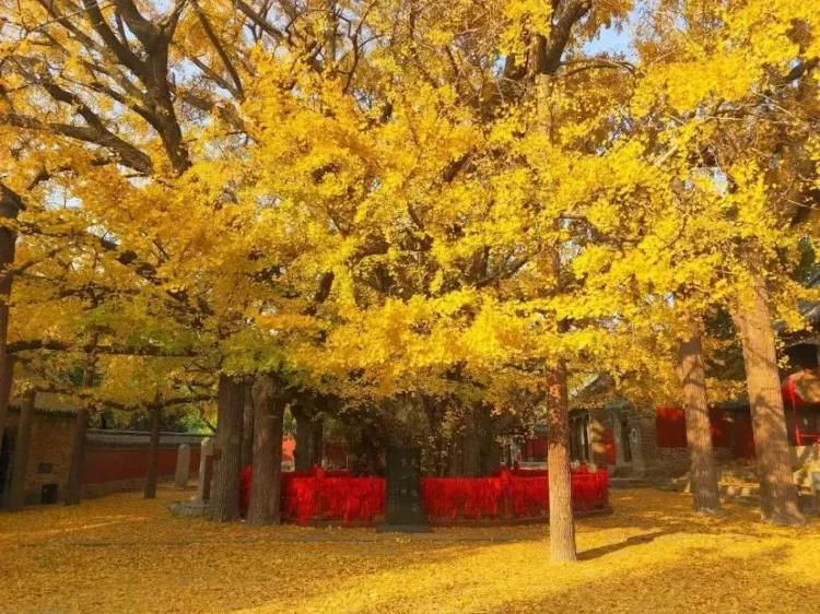 益阳一日游最好去哪里(益阳有什么好玩的地方景点推荐)