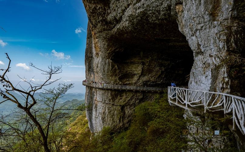四、金佛山风景区