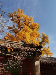 ​北京冷门好玩景点推荐