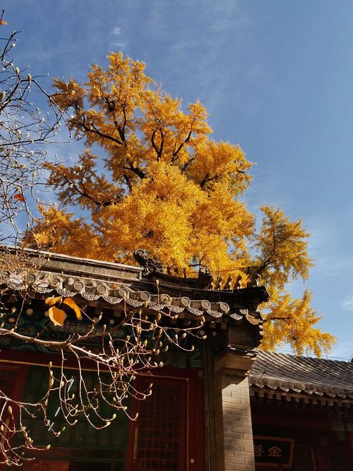 一、潭柘寺