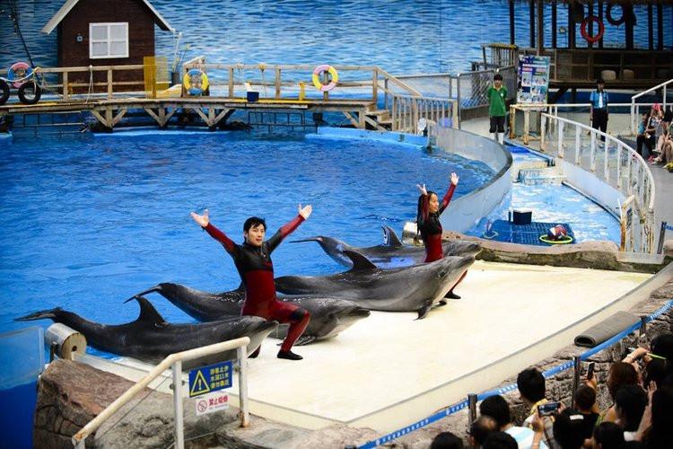 二、大连海昌极地海洋公园