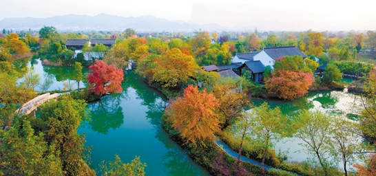 5.西湖区抚生河湿地公园