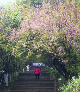 ​东莞周边露营地点推荐