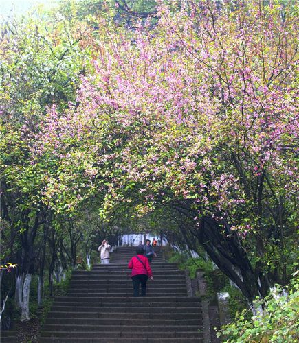 1、南城宝华公园