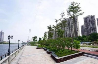 ​广州周边烧烤露营地