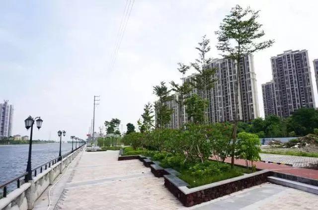 1、广州大涌