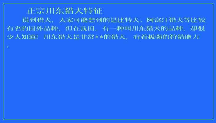 正宗川东猎犬特征