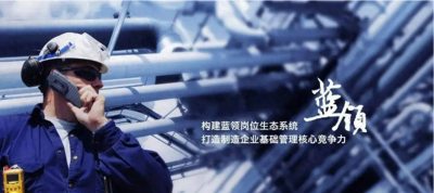 ​我国就业现状：白领工资仅为蓝领三分之一，大学生收入不如农民工