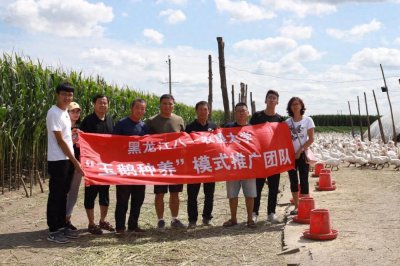 ​质量兴农看农垦丨黑龙江八一农垦大学：守立德树人初心 担科教兴农使命