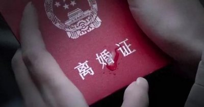 ​4旬男子因性侵岳母被判刑，妻子提出离婚获得抚养权，男子出狱后上诉