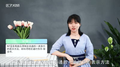 ​nt是哪个国家的货币