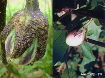 ​苹果13为什么充电到80就不动了（为什么ios13充电到80就停了）