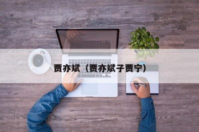​贾亦斌（贾亦斌子贾宁）