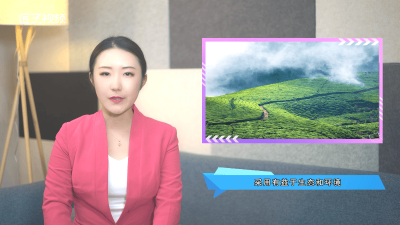 ​有机茶和无机茶的区别是什么意思 有机茶和无机茶的区别是什么呢