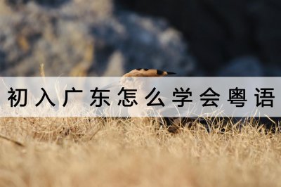 ​广东话教程初学者（初入广东怎么学会粤语？不如试试这个）
