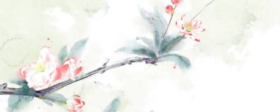 ​花夕颜的意思是什么 夕颜花和朝颜花