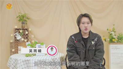 ​树冠是树的什么地方 树的树冠是什么意思