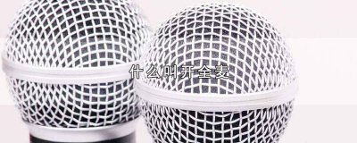 ​全开麦和不开全麦是什么意思 全开麦的区别