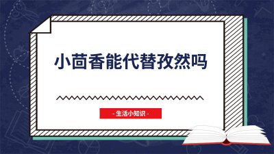 ​小茴香能代替孜然吗为什么 小茴香能代替孜然吗图片